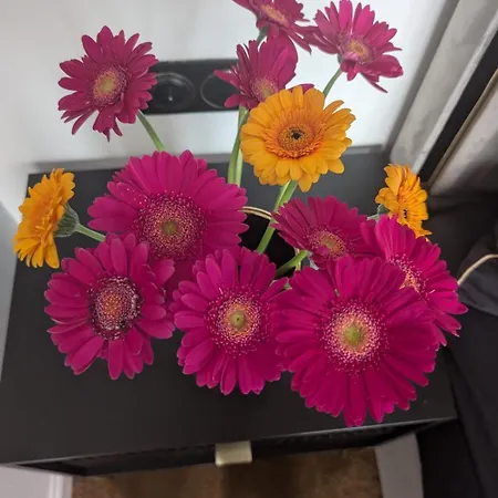 Luxury Marina - Nad Odra * Stettin